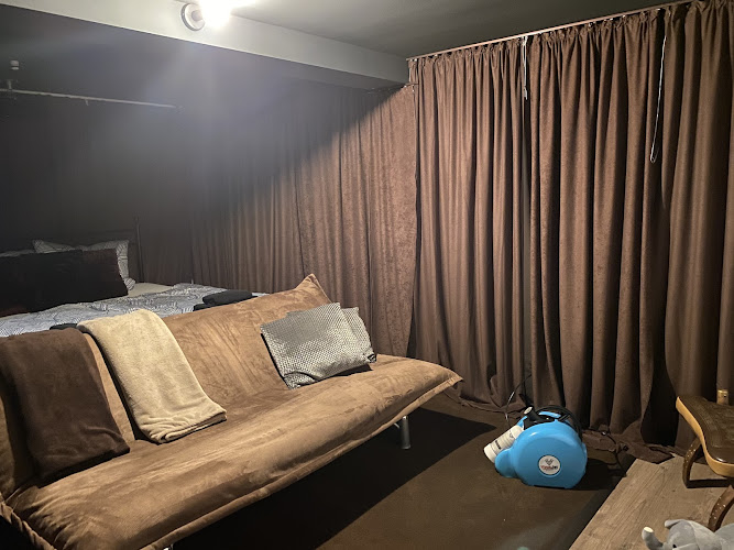 S.T.O. Gebäudeservice