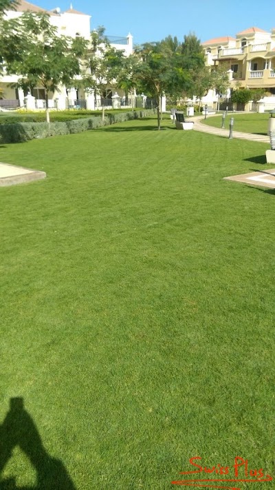 Photos of Swiss Plus LLC