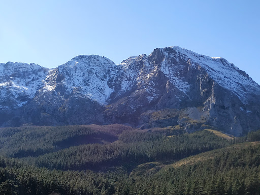 Olazar