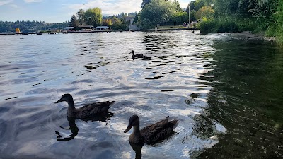 Lyon Creek Waterfront Preserve