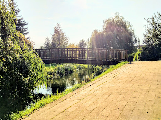 Torgelow Gallery - Germany
