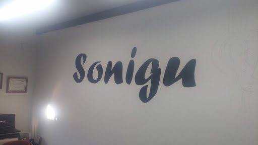 Sonigu - Visual