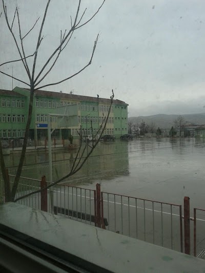 school
