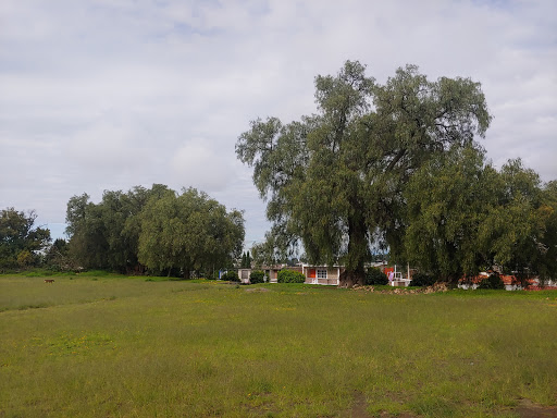 Santuario de los santos Niños Mártires de Tlaxcala - Thumbnail