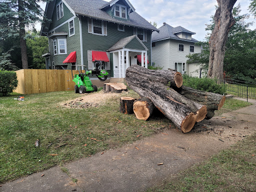 AAA Tree Removal - Thumbnail