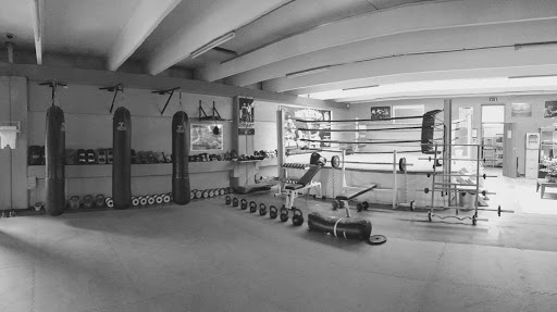Bronx Gym Cesena - Palestra Muay Thai, Boxe, Pugilato, Cross Training - Thumbnail