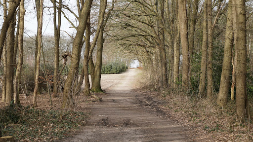 Goois Natuurreservaat Naarder Eng - Thumbnail