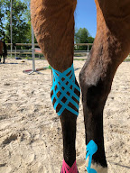 thermustang à Montlaux