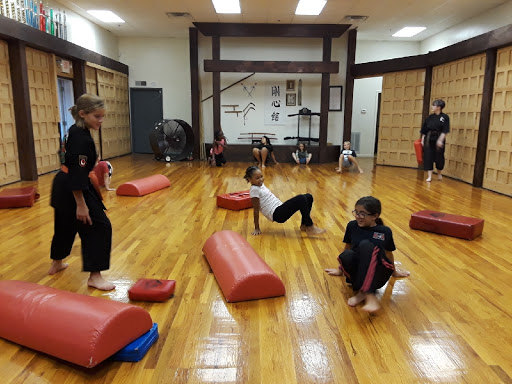 Art of Martial Arts East - Thumbnail
