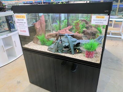 Photos of Pet City Mandurah