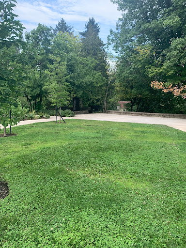 Scott Park - Visual