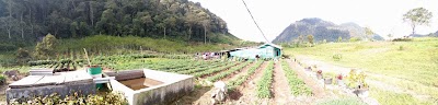Photos of Zoe Garden