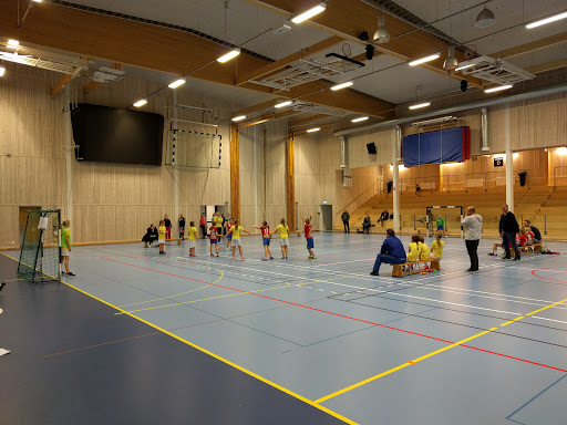 Halörhallen - Visual