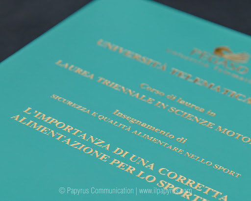 Papyrus Communication - Visual
