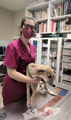 Clínica Veterinaria Cantin y Gamboa