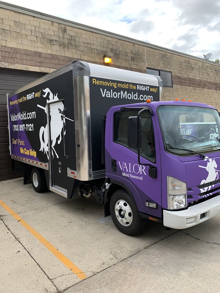 Valor Mold Removal photo