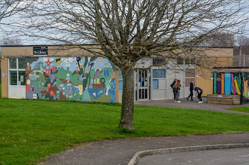 Matson Library - Visual