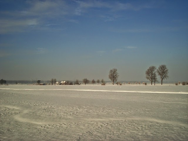 BP Vreeland