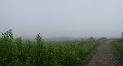 Beech Hill Preserve Trail Head Gallery - United States