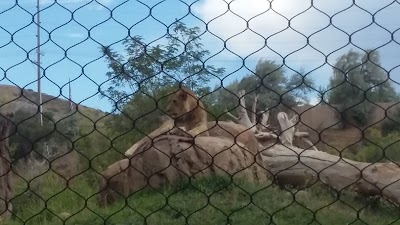 Lighthouse Point Splash Zone at Hogle Zoo