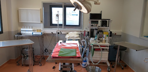 Clinique Vétérinaire Univet Brech – Benjamin Franklin