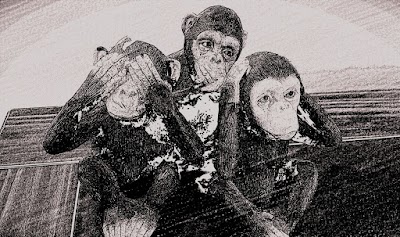 Photos of Gaziantep Avukat Ferit YILDIRIM