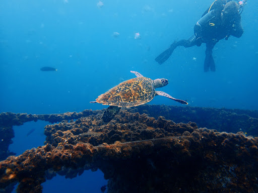 Sunreef Mooloolaba - Thumbnail