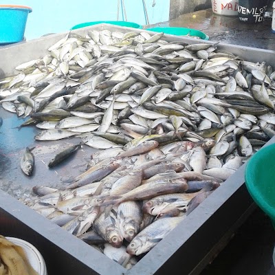 Photos of Port of Cape Verde Archipelago Beach