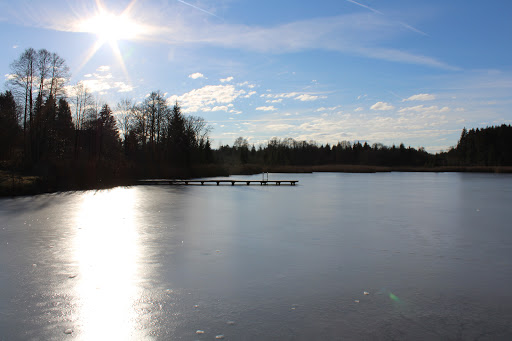 Holzweiher - Visual