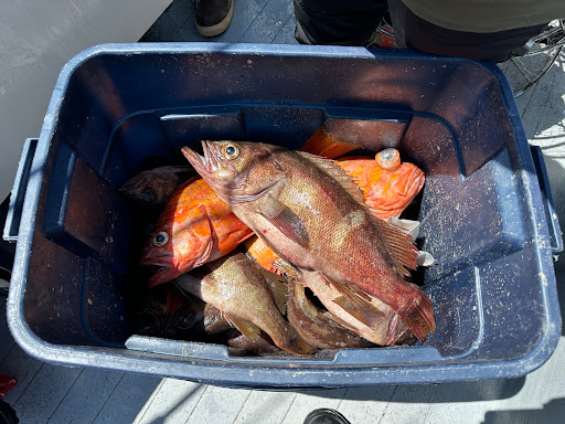 Garibaldi Charters - Thumbnail