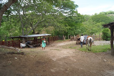 Photos of Finca Mej&iacute;a