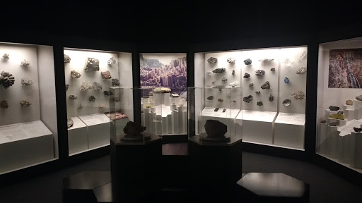 Naturkundemuseum Bamberg - Thumbnail
