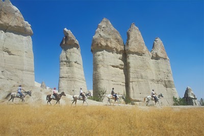 Photos of Kirkit Horse Riding Center