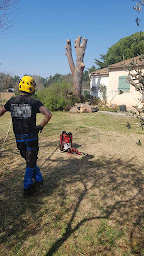 Photo n°12 de ENVIE D'ARBRES Aurélien Dhomont à Saint-Bonnet-en-Champsaur (Service d'élagage)