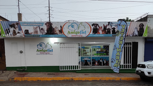 Veterinaria Amigo Fiel Guamuchil