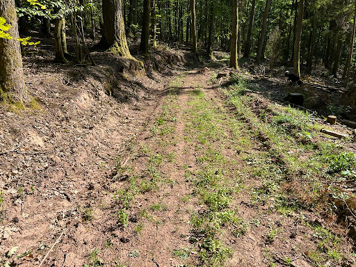 NaturFlowTrail MTB R4 "Lindwurm" - Thumbnail