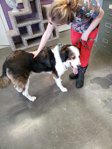 Pincher Creek Humane Society - Thumbnail