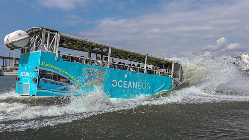 Oceanbus - Visual