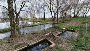 Photo n°14 de La baraque des pêcheurs à Guewenheim (Étang de pêche)
