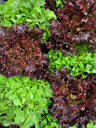 Photo n°12 de La Ferme du Metz à Compiègne (Épicerie)