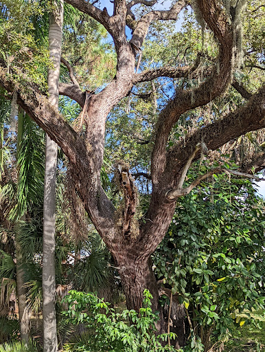 Manuel’s Branch Neighborhood Park - Thumbnail