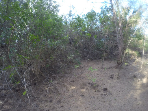 Garrett’s Path - Visual