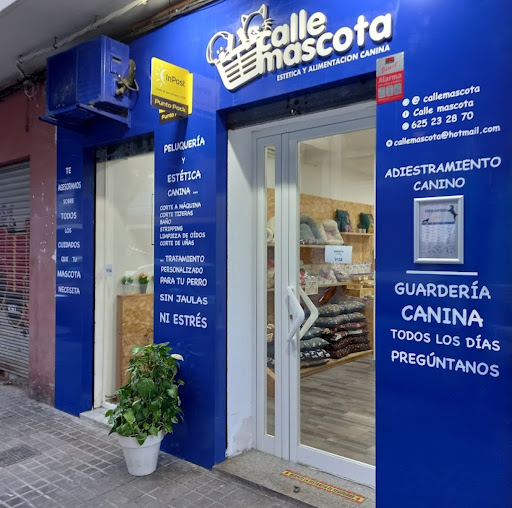 CalleMascota