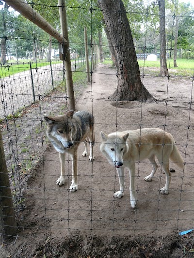 Trowbridge Creek Zoo