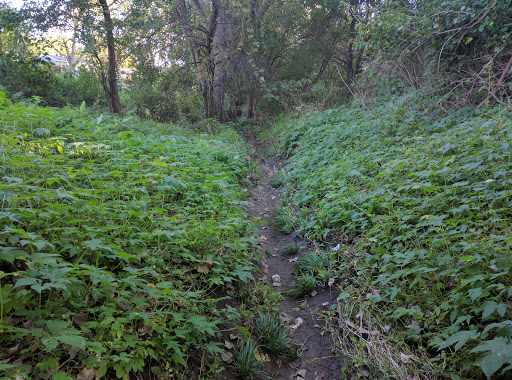 Twin Ridge II Park