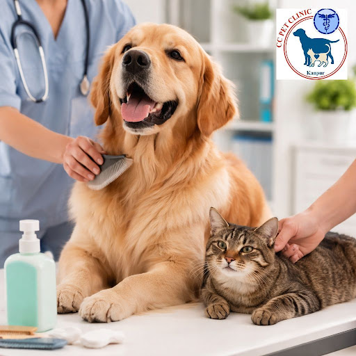 Healthy skin and a glossy coat are signs that your dog or cat is truly thriving. At Caring Claws…
