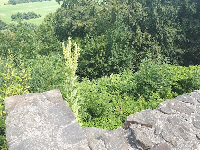 Burg Blankenstein