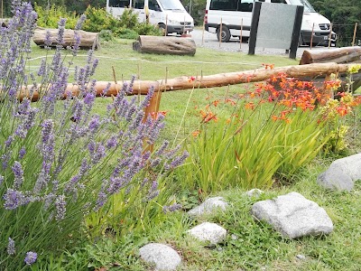 Photos of Camping Los R&aacute;pidos