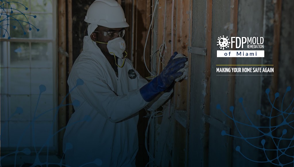 FDP Mold Remediation of Miami photo