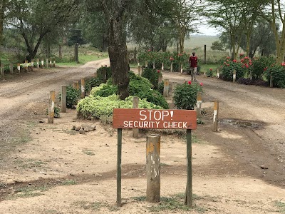 Photos of Nderit Gate Lake Nakuru National Park